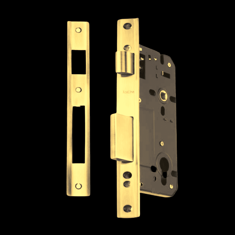 Double Door Satin Lock Body